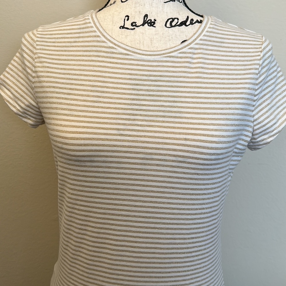Ann Taylor Stripe Shirt